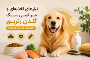 نیازهای تغذیه‌ای و مراقبتی سگ گلدن رتریور (راهنمای کامل و کاربردی)