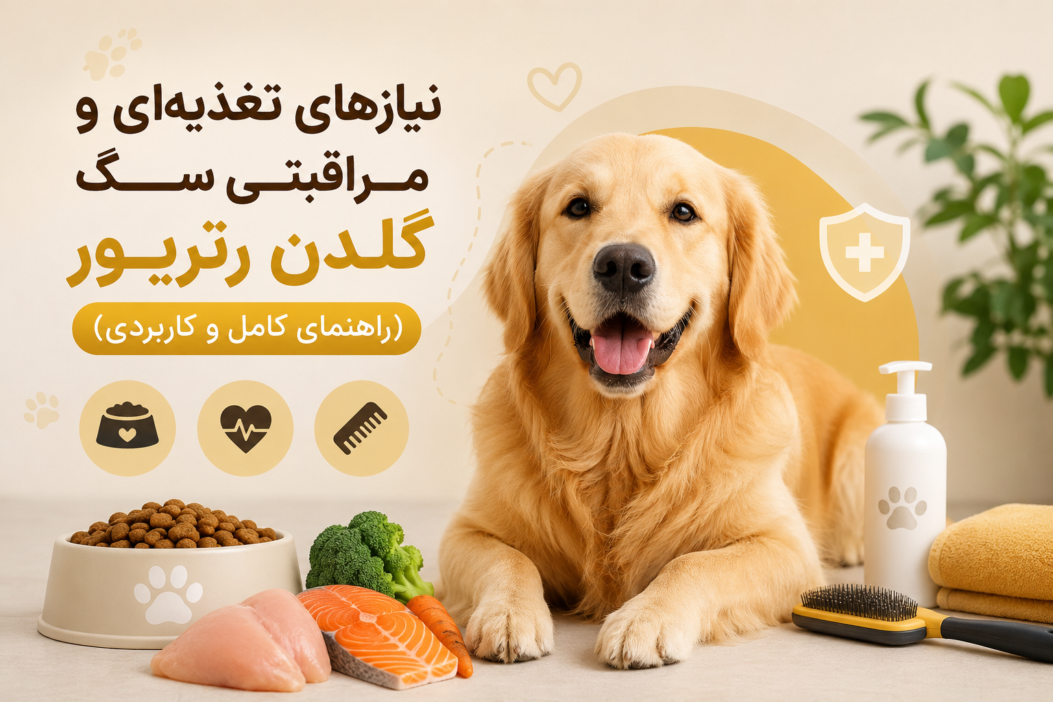نیازهای تغذیه‌ای و مراقبتی سگ گلدن رتریور (راهنمای کامل و کاربردی)