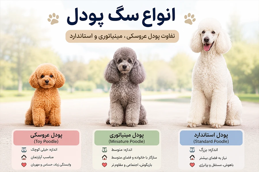 انواع سگ پودل