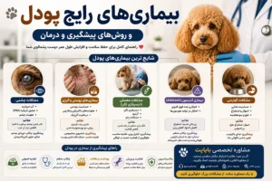 بیماری های رایج سگ پودل