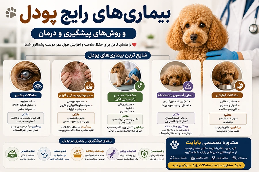 بیماری های رایج سگ پودل
