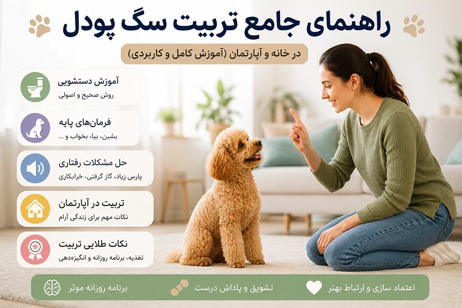 تربیت سگ پودل