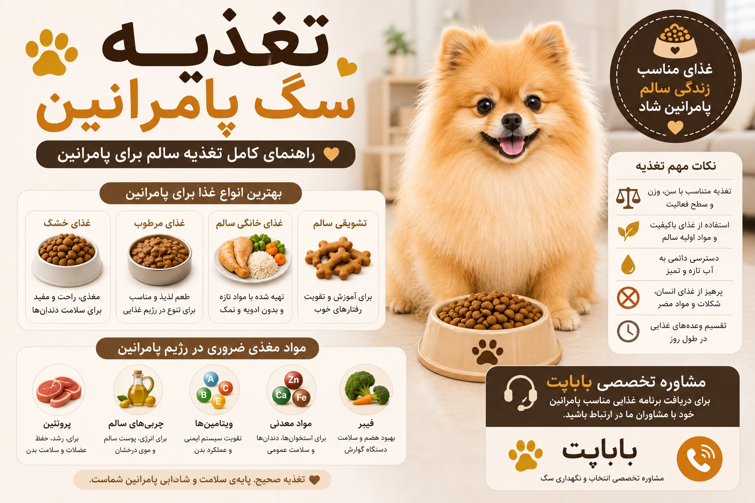 تغذیه سگ پامرانین