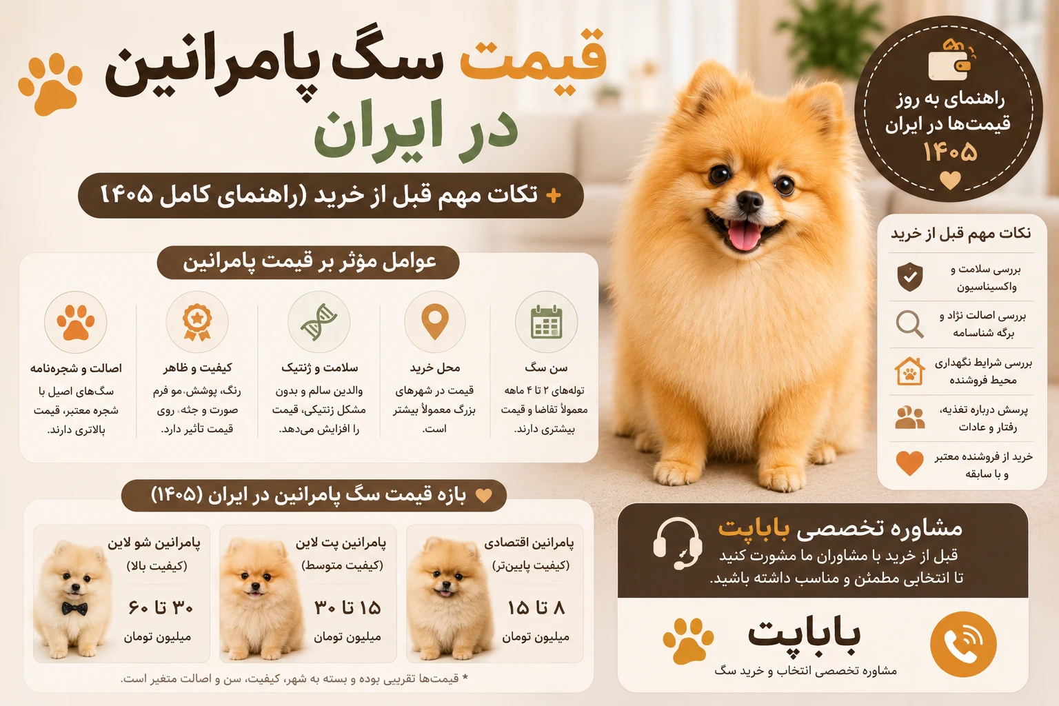 قیمت سگ پامرانین در ایران