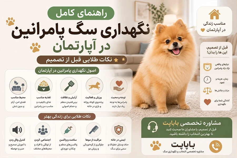 نگهداری سگ پامرانین