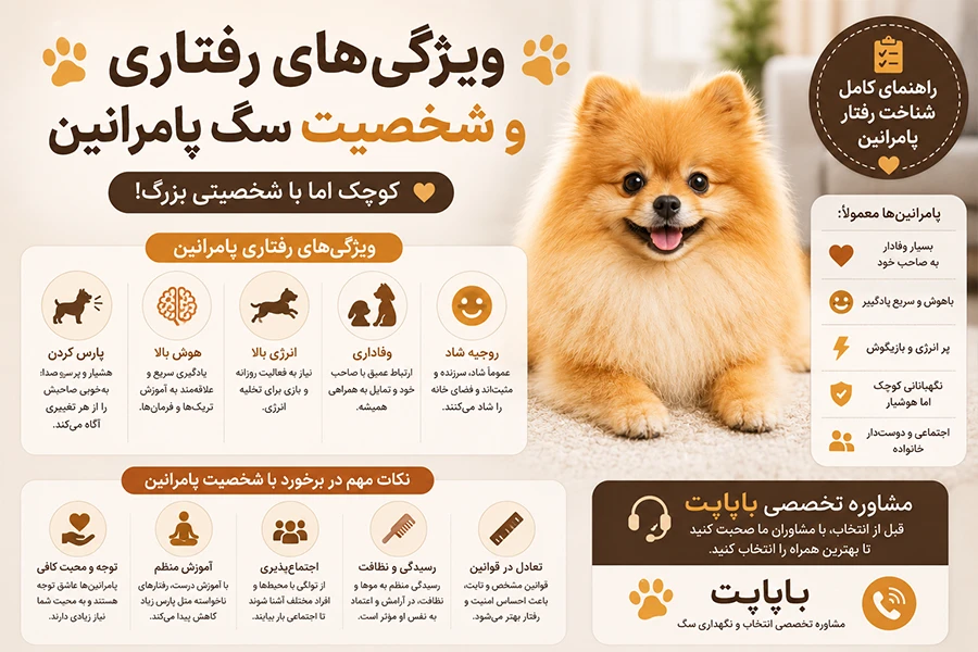 ویژگی‌های رفتاری و شخصیت سگ پامرانین