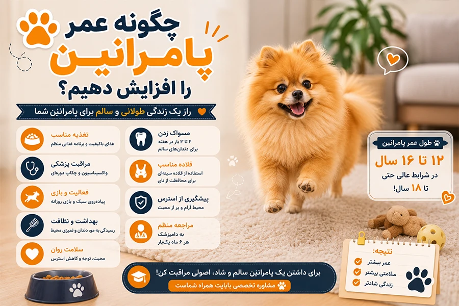 چگونه عمر پامرانین رو افزایش بدیم