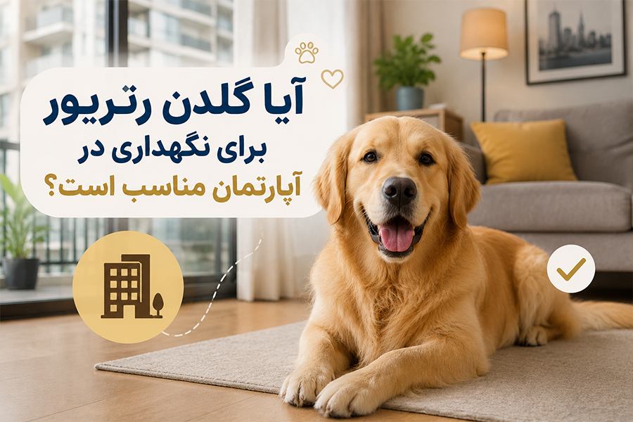 نگهداری سگ در آپارتمان