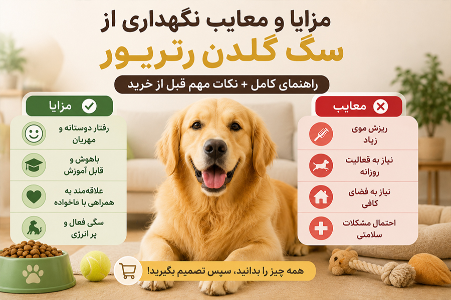 مزایا و معایب نگهداری از سگ گلدن رتریور | راهنمای کامل + نکات مهم قبل از خرید