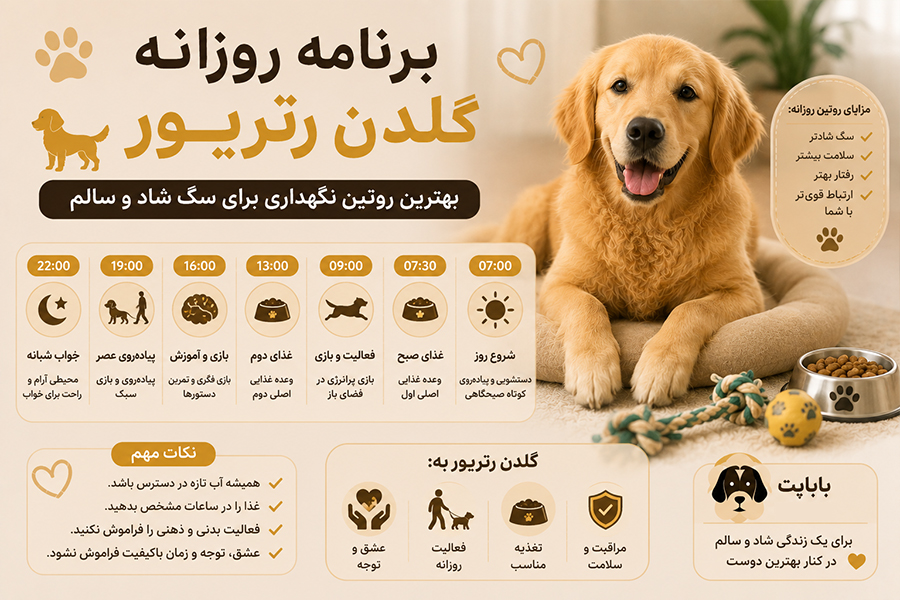 برنامه روزانه سگ گلدن