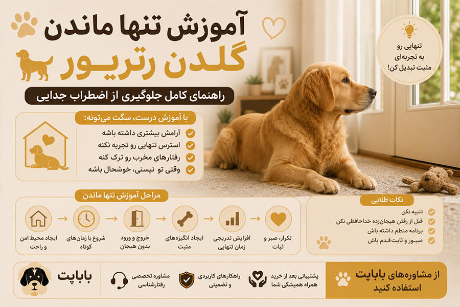 اموزش تنها ماندن سگ گلدن رتریور