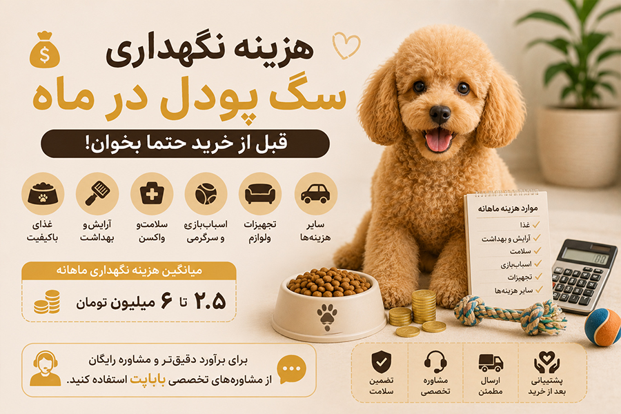 هزینه ماهانه سگ پودل