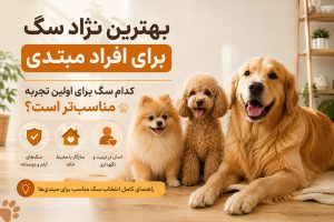 بهترین نژاد برای افراد مبتدی