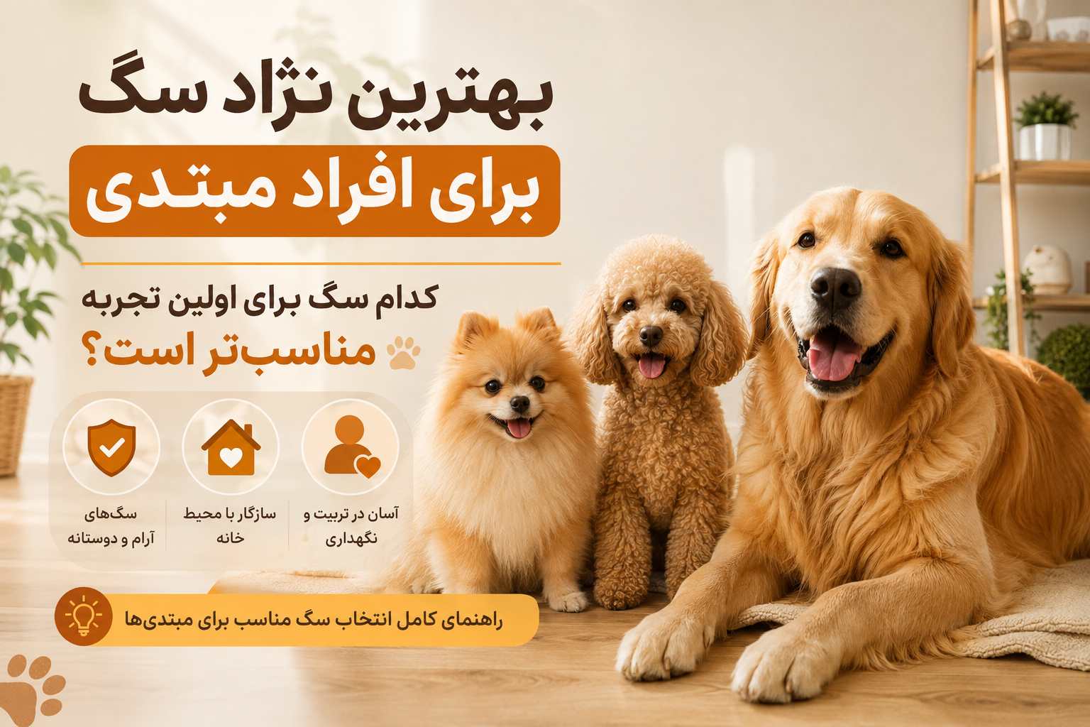بهترین نژاد برای افراد مبتدی