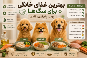 بهترین غذای خانگی برای سگ