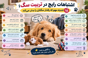 اشتباهات رایج در تربیت سگ؛ ۱۵ اشتباه مهم که رفتار سگتان را بدتر می‌کند 🐶