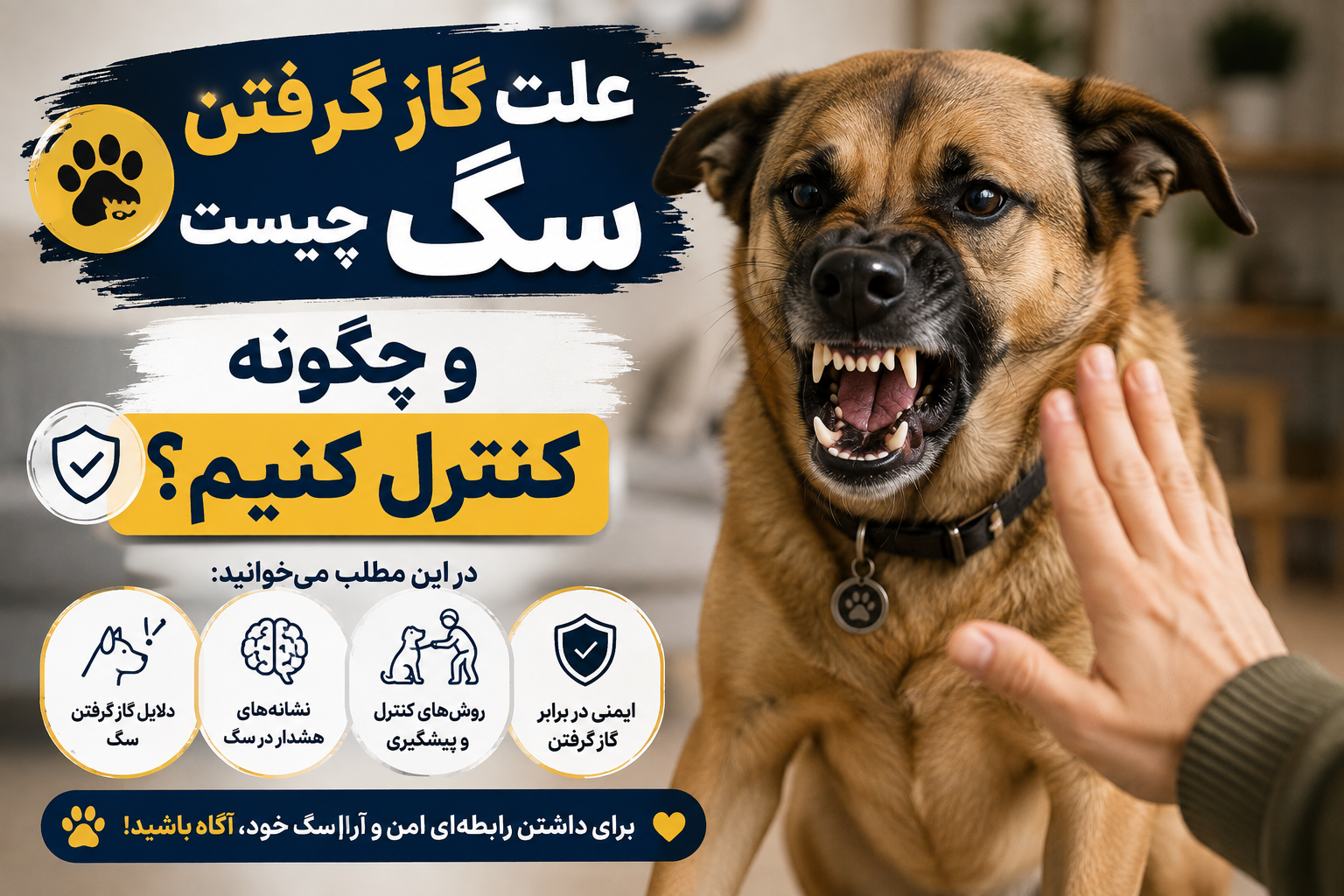 علت گاز گرفتن سگ چیست و چگونه کنترل کنیم؟