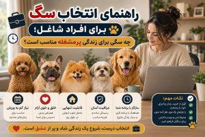 راهنمای انتخاب سگ برای افراد شاغل