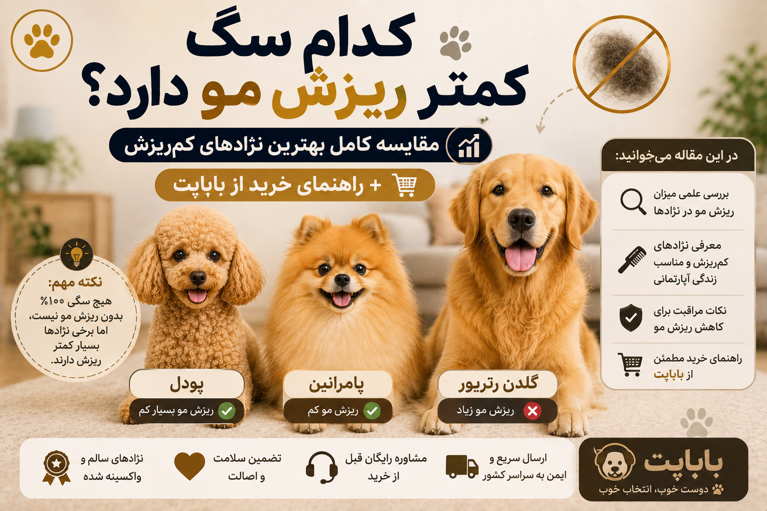 کدام سگ کمتر ریزش مو دارد؟