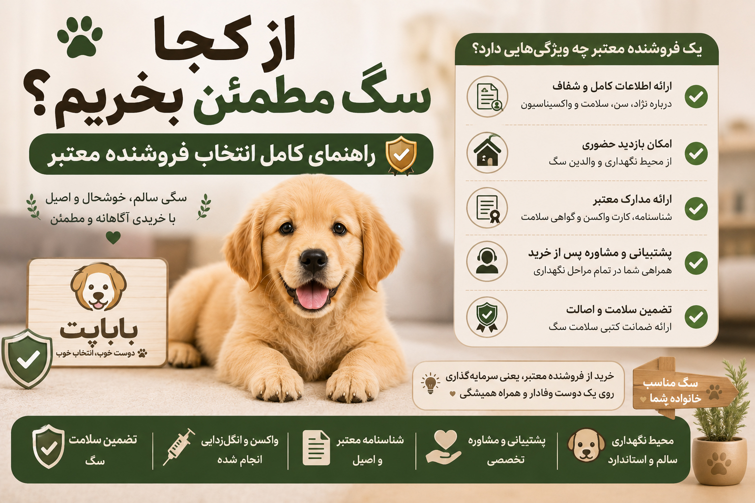 از کجا سگ مطمئن بخریم