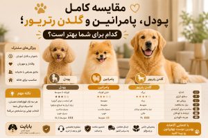مقایسه کامل پودل، پامرانین و گلدن رتریور
