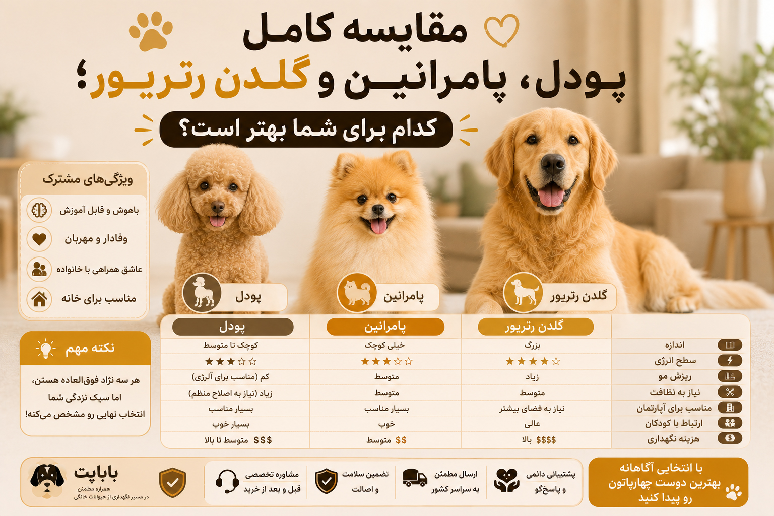 مقایسه کامل پودل، پامرانین و گلدن رتریور