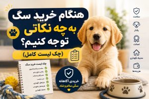 هنگام خرید سگ به چه نکاتی توجه کنیم؟ (چک لیست کامل)