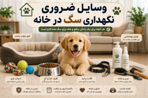 وسایل ضروری نگهداری سگ در خانه