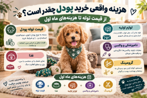 هزینه واقعی خرید پودل چقدر است؟ از قیمت توله تا هزینه‌های ماه اول