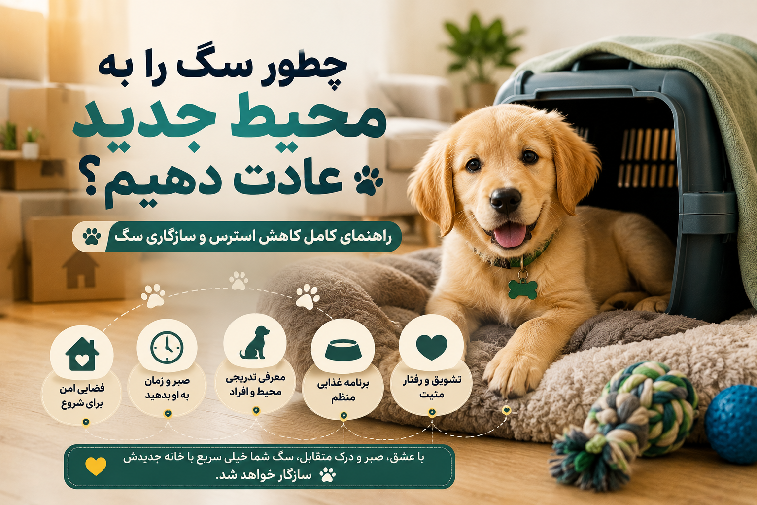 چطور سگ را به محیط جدید عادت دهیم؟
