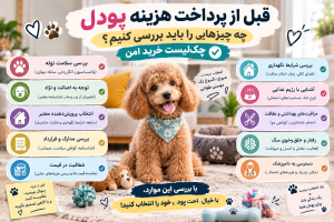 قبل از پرداخت هزینه پودل چه چیزهایی را باید بررسی کنیم؟ چک‌لیست خرید امن