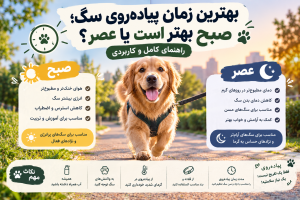 🐶 بهترین زمان پیاده‌روی سگ؛ صبح بهتر است یا عصر؟ راهنمای کامل و کاربردی