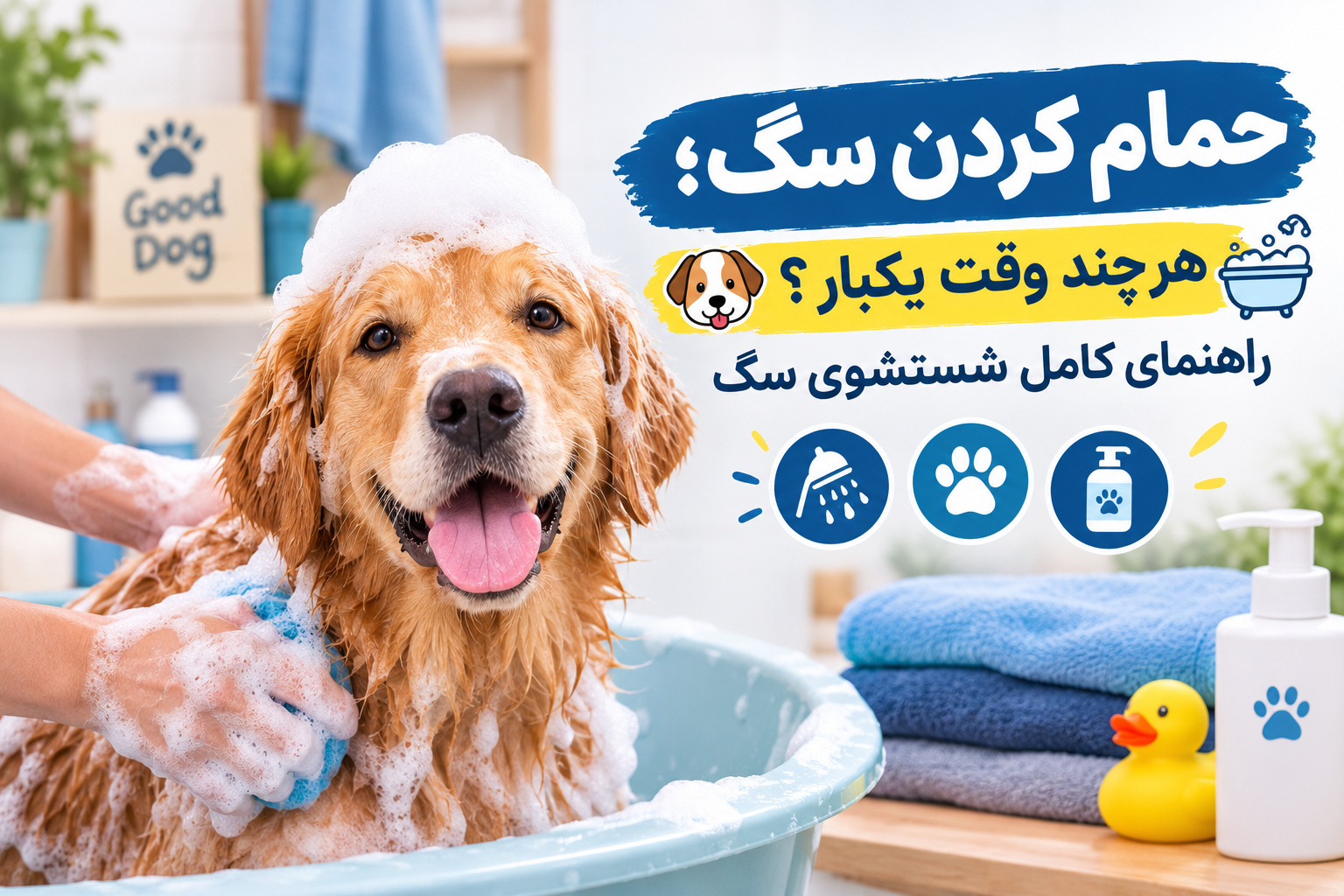حمام کردن سگ